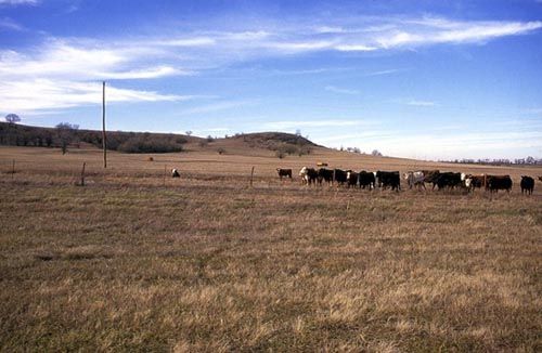 Bender Mounds, Kansas by Kathy Alexander. Bender Mounds, Kansas by Kathy Alexander.