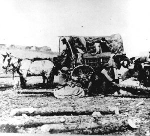 Black Refugees Black Refugees