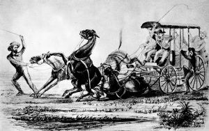 Butterfield Stage-wagon.