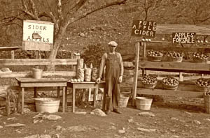 Virginia - Cider Stand, by Arthur Rothstein, 1935. Virginia - Cider Stand, by Arthur Rothstein, 1935.