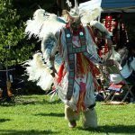 Fancy Dancer, image courtesy <a href=a.html width=