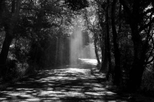 Road Trip. Road Trip.