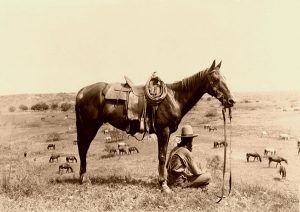 Horse Wrangler by Erwin E. Smith, 1910