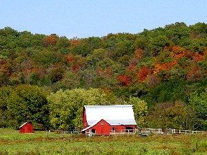 Beautiful Fall Foliage along Highway MO19 near Hermann, Missouri, by Kathy Alexander. Beautiful Fall Foliage along Highway MO19 near Hermann, Missouri, by Kathy Alexander.