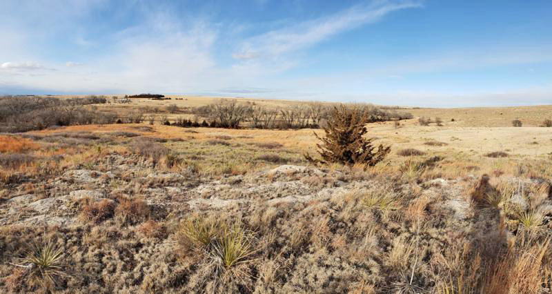 Sappa Creek Massacre Site in Rawlins County, Kansas. Courtesy of Kansas Historic Resources Inventory.