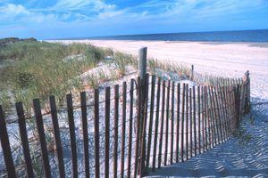 Rehoboth Beach, Delaware by William Folsom. Rehoboth Beach Delaware William Folsom-noaa