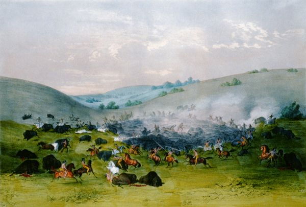 Surrounding the buffalo herd Surrounding the buffalo herd