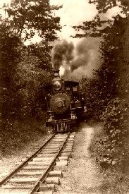A train through the woods A train through the woods