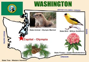 Washington Map Washington Map