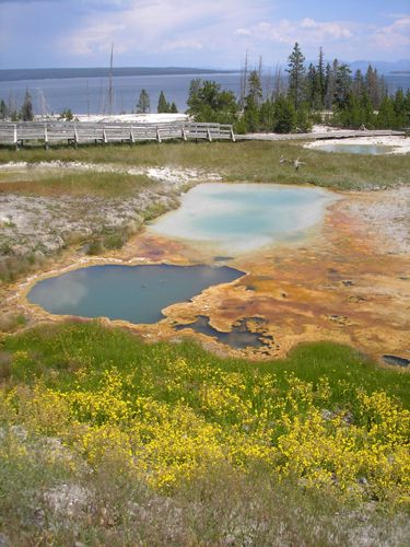 Yellowstone Lake Pots